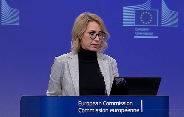 Purtătoarea de cuvânt a Comisiei, Anitta Hipper / captura video