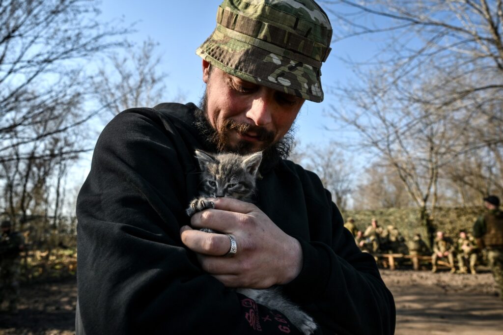 Au scăpat din iadul războiului. Povești ale animalelor salvate de pe linia frontului din Ucraina