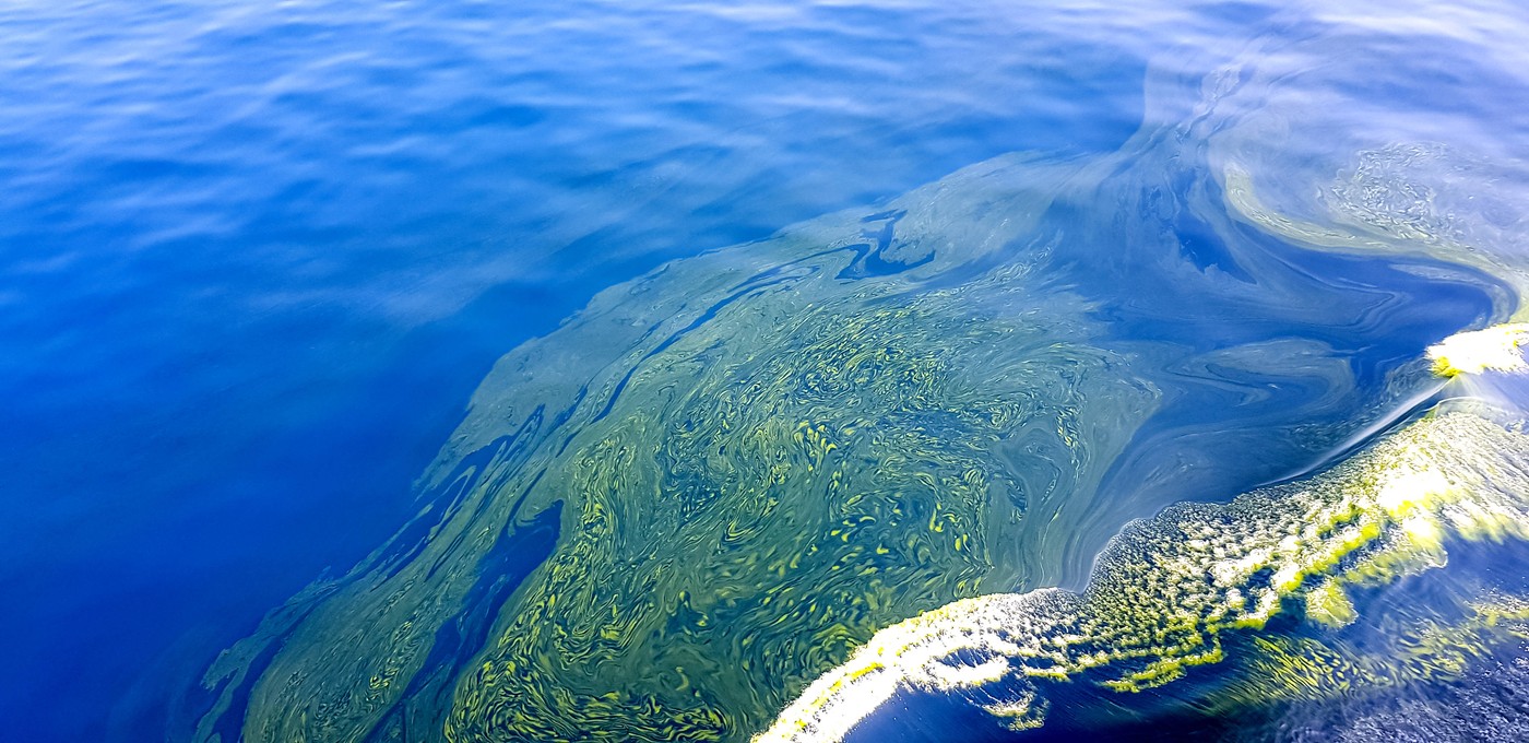 Deversările de petrol din Golful Perisc, din timpul războiului din Iran, sunt vizibile din spațiu. Experții avertizează asupra unei catastrofe ecologice iminente