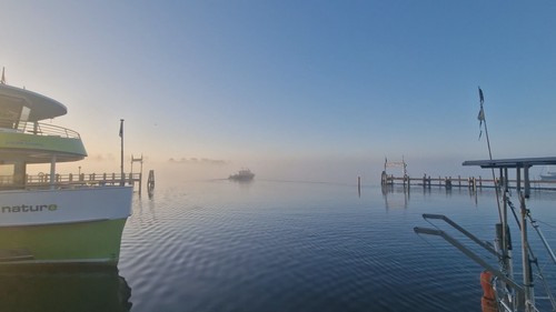 Balena eșuată în largul coastelor Germaniei de la Marea Baltică a început să înoate