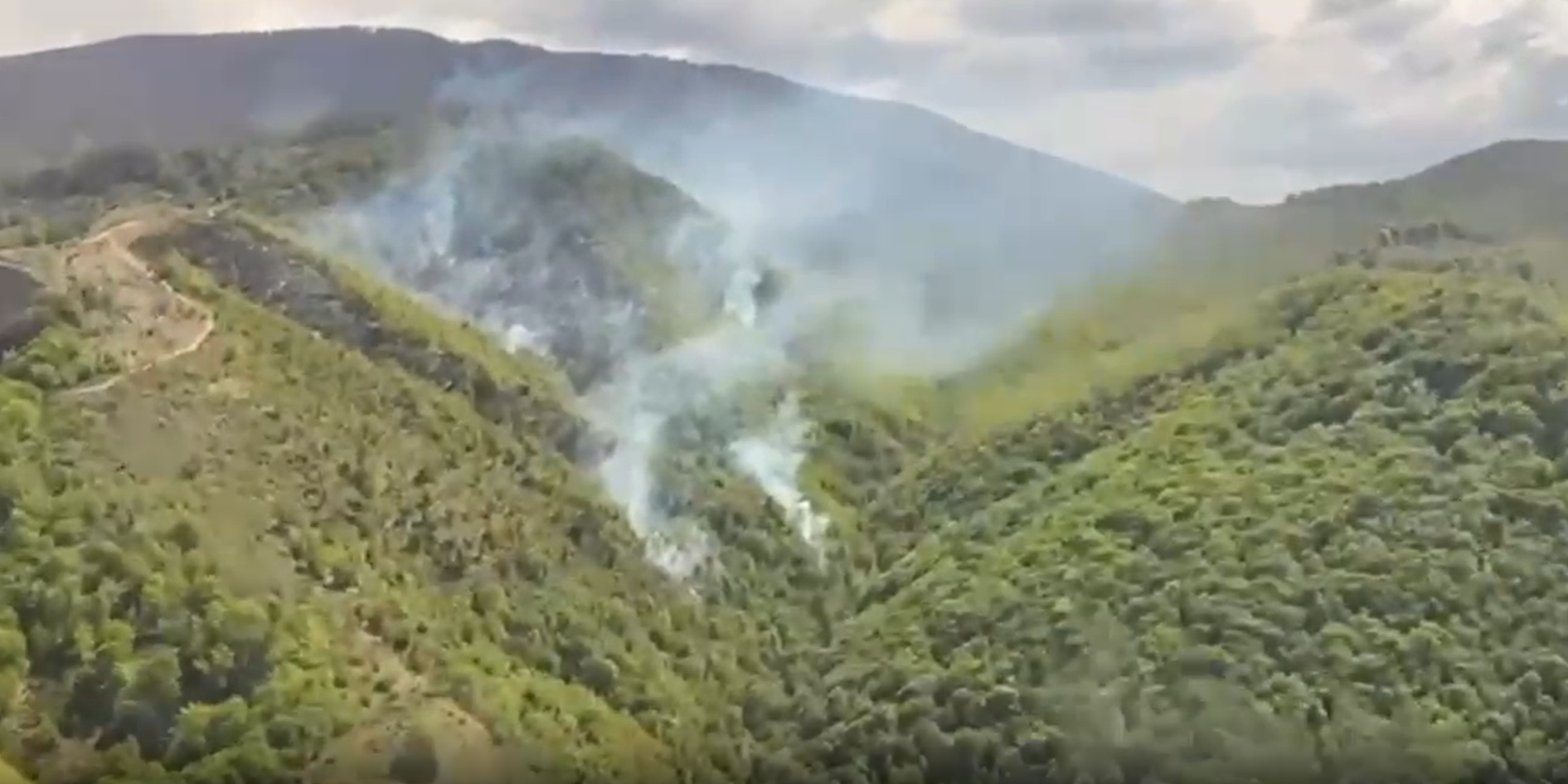 Incendiu de vegetație uscată în Slatina-Timiș, județul Caraș-Severin