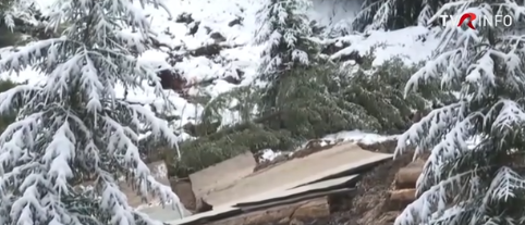 Alunecare de teren în Bulgaria. Drum montan distrus