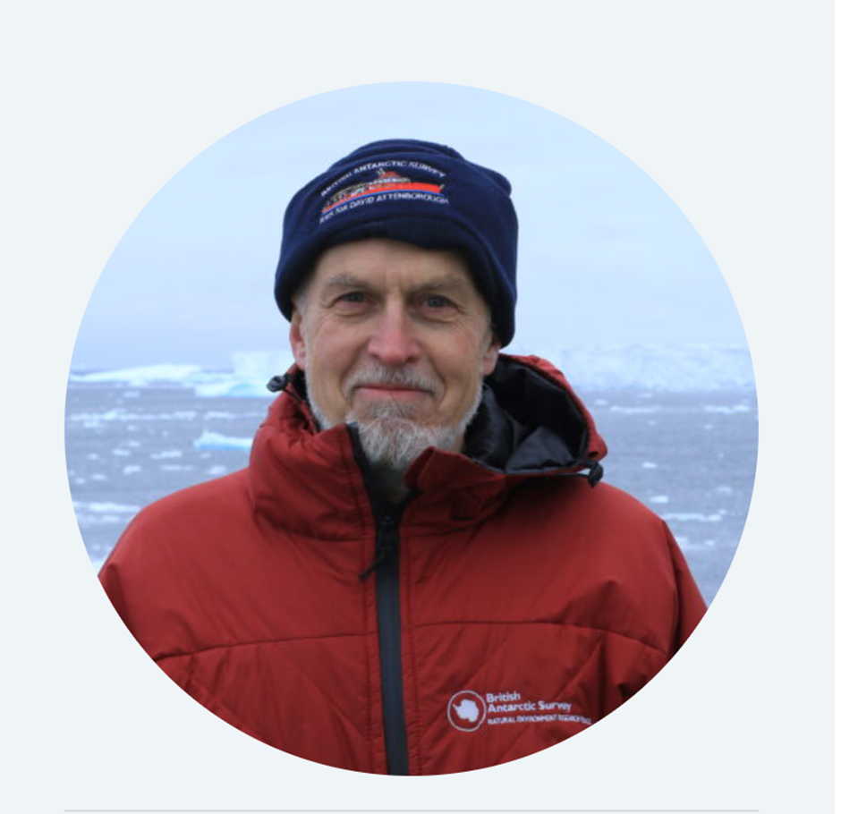 Robert Larter/sursa - British Antarctic Survey