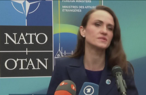 Oana Ţoiu: Cooperarea cu SUA şi NATO a întărit apărarea pe flancul estic