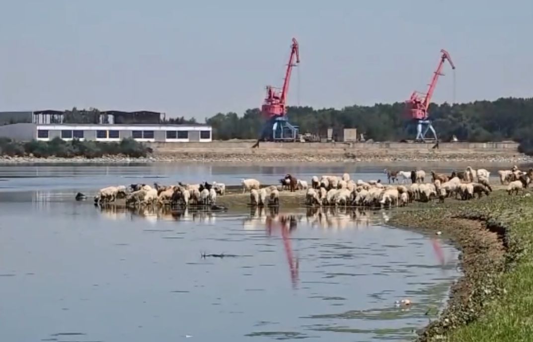 Dunărea scade de la o zi la alta, iar efectele sec