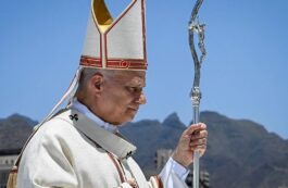 Papa Leon / facebook, Vatican News