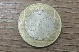 Moneda turcească / foto ilustrativ