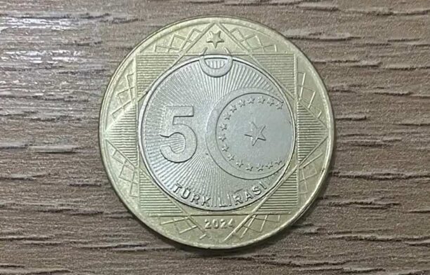 Moneda turcească / foto ilustrativ