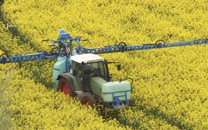 Franța aprobă lege pentru derogarea utilizării a două pesticide