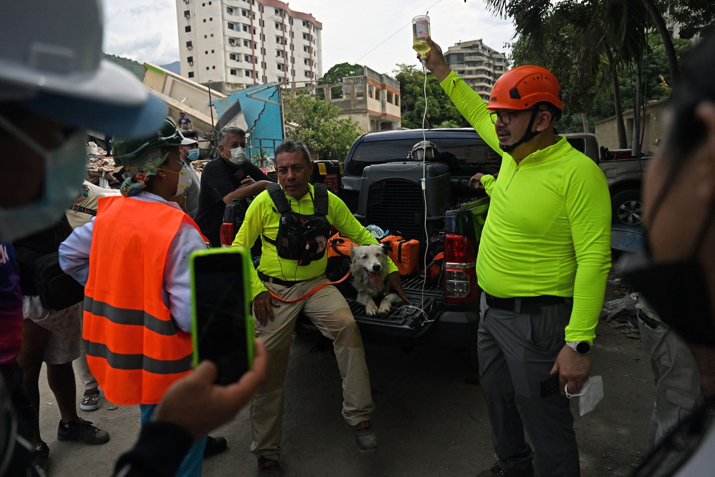 Tsunami, câinele de salvare care a găsit aproape 100 de supraviețuitori în Venezuela, se retrage