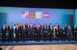 Pisicile, vedetele inedite ale Summitului NATO de la Ankara